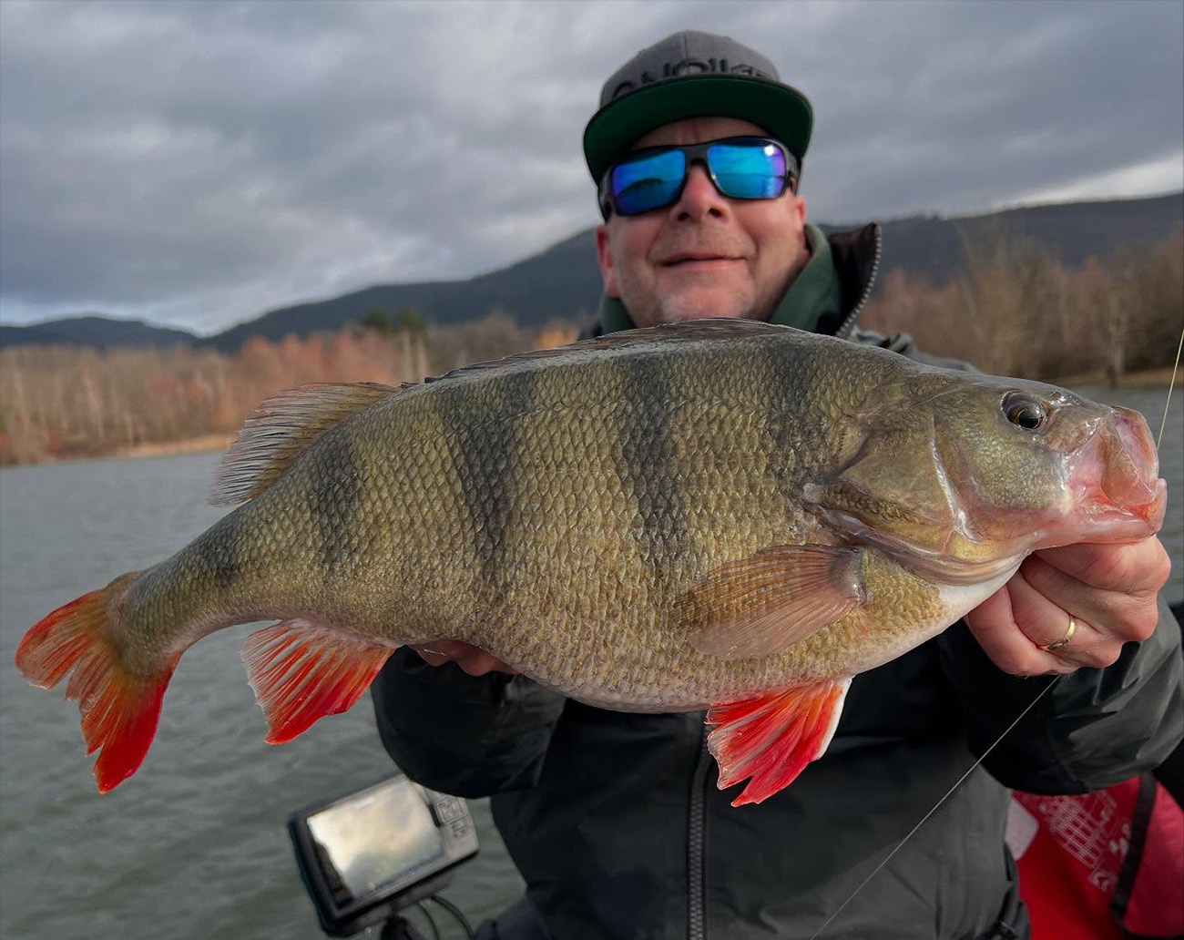 Noike Wobble Shad 2´ 